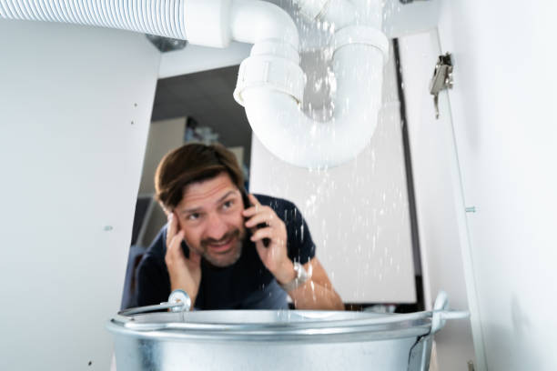 Best Sprinkler Systems  in Nevada, MO