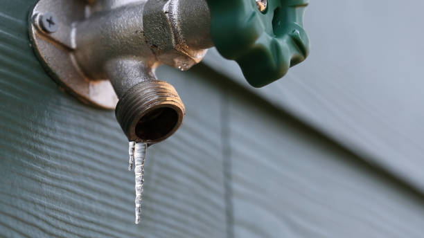 Best Local Plumber Services  in Nevada, MO