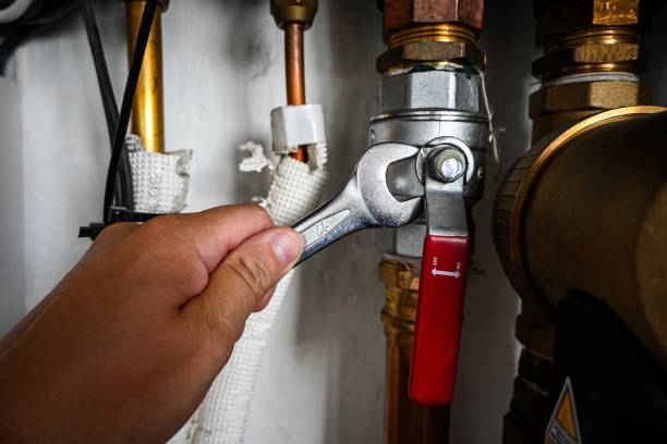 Best Water Leak Repair  in Nevada, MO